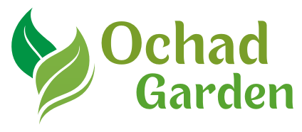 Ochad Garden Jasa Tukang Taman Hias Murah Berkualitas Bergaransi Terbaik dan Terpercaya Terdekat Jakarta Bogor Depok Tangerang Bekasi